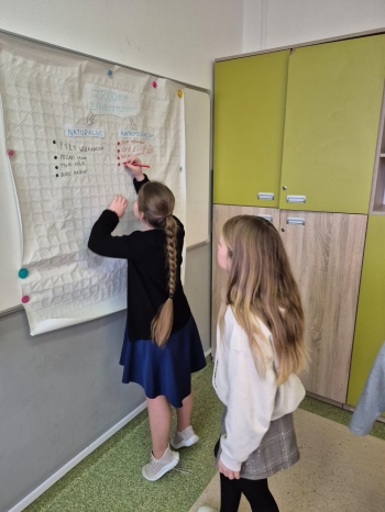 623285dd-293e-48db-8205-442334b73307