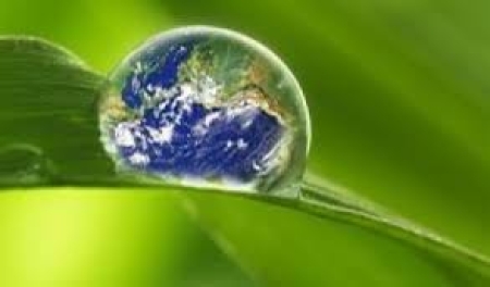 Lider Lokalnej Ekologii