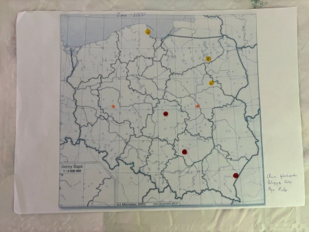 Usuwanie zanieczyszczeń powietrza - zadanie zrealizowane w ramach projektu Lider Lokalnej 